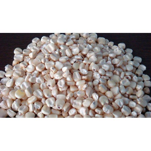 Organic Raw White Maize, High In Protein, Gluten Free, Packaging Type: Bag