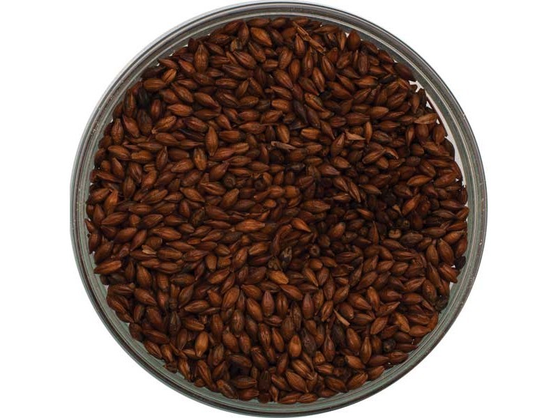 Roasted Barley Malt