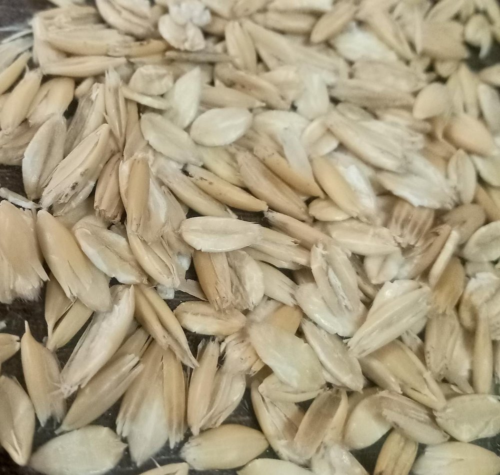 Steam Flaked Oats