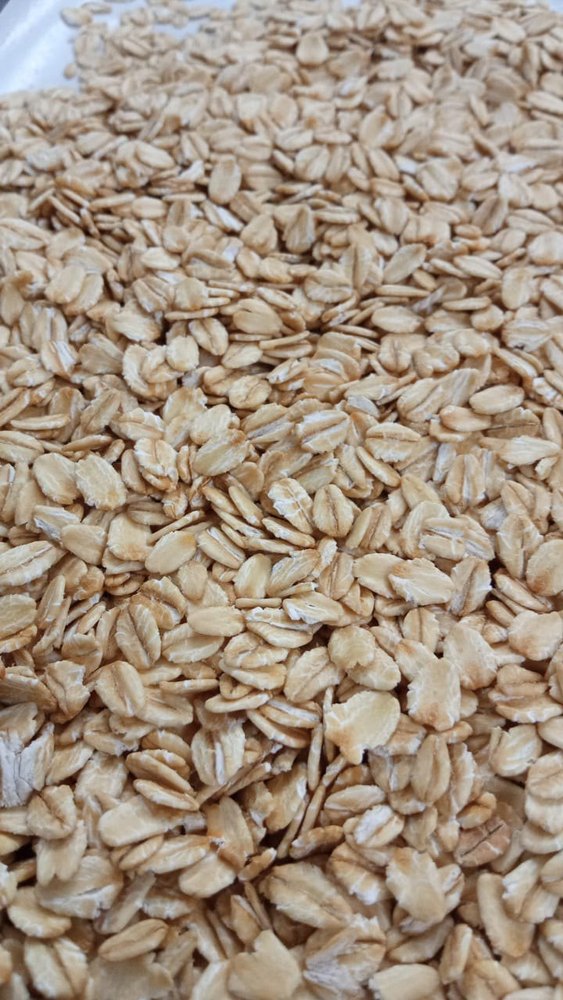 Indian White JUMBO Rolled Oats, Packaging Type: 30 kg BOPP 3 Layer, High in Protein