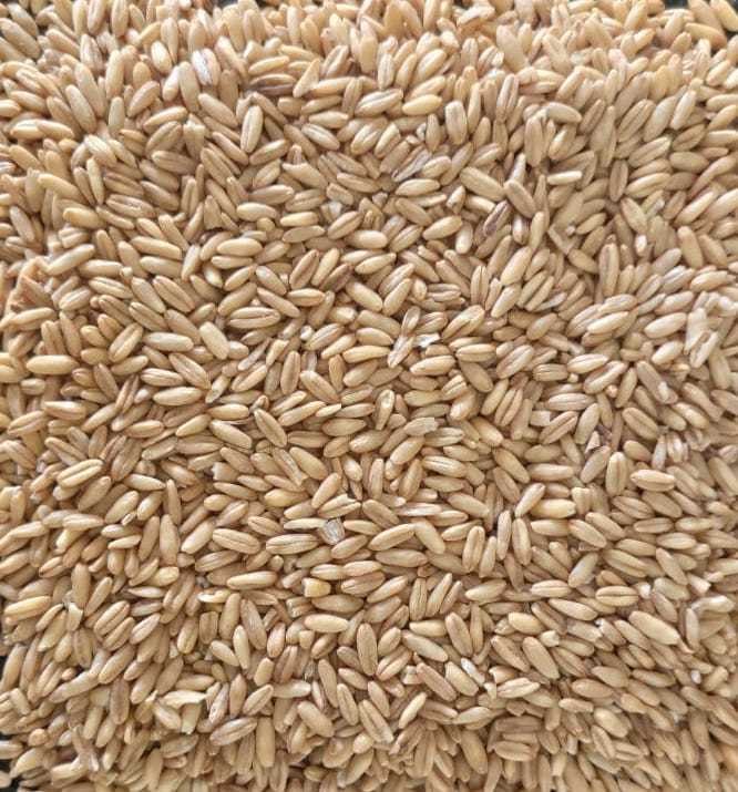 Indian Brown Oat Groats / Naked Oats/ Dehulled Oats, Packaging Type: Bag, High in Protein