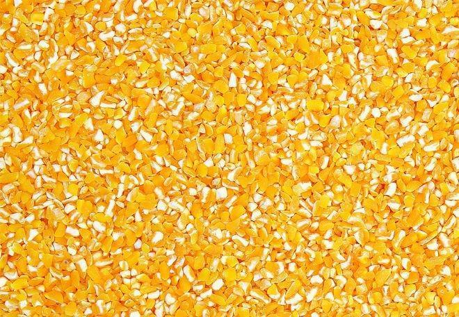 Soya Grit