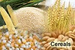 Cereals