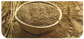 Bran Flakes & Wheat Germs
