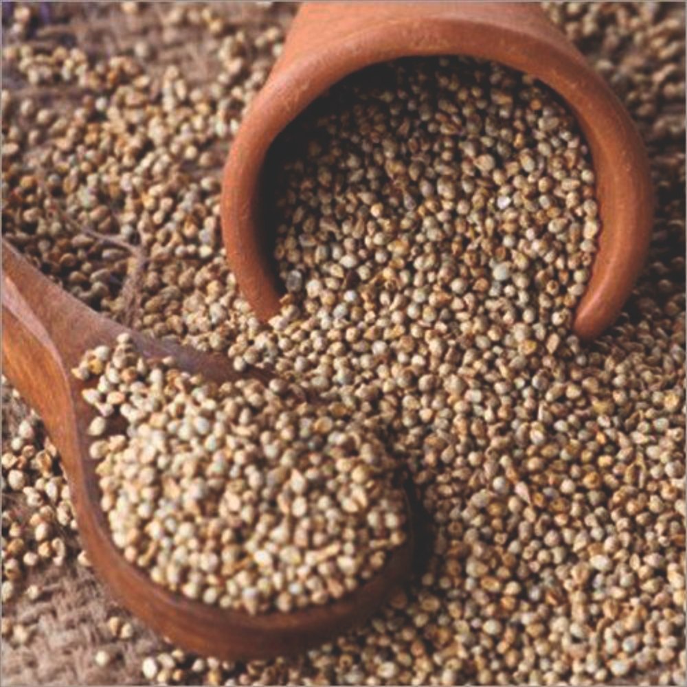 Green Bajra, Packaging Size: 50, High in Protein