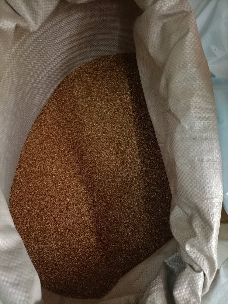 Red Millet Seed, High in Protein