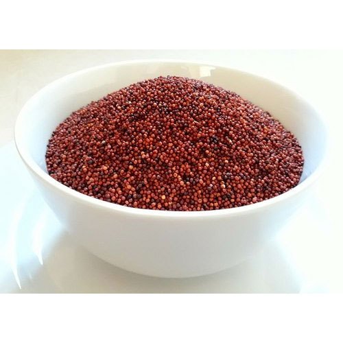 Indirani Exports Indian Red Millet Seed, Organic