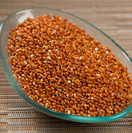 Indian KGCPL Animal Feed Red Millet, Organic