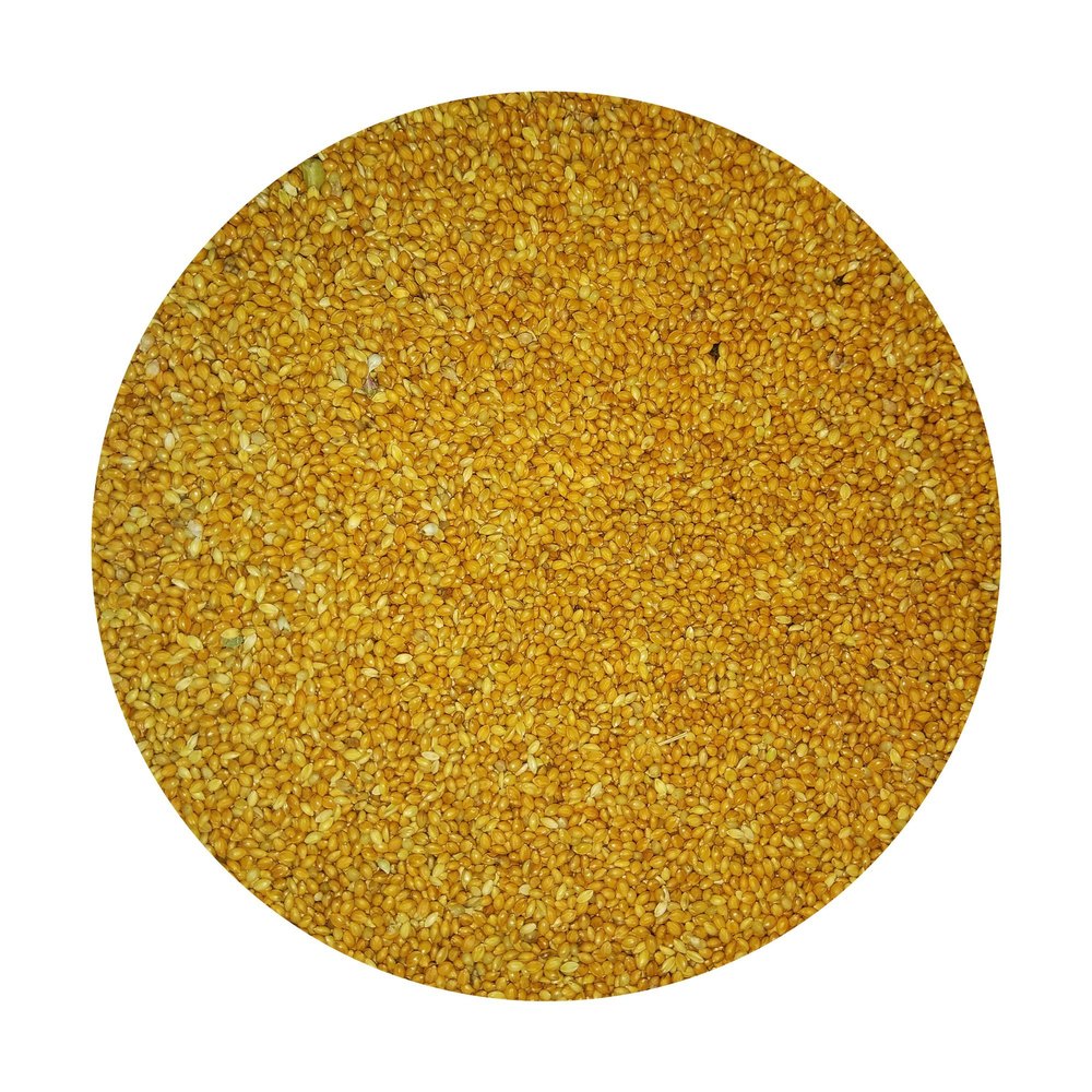 Red Foxtail Millet