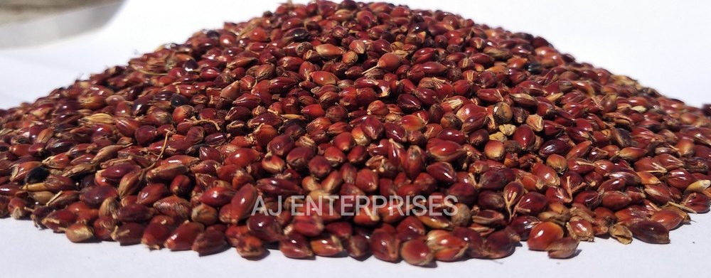 Siri Milltes Red Millet Seed, Organic