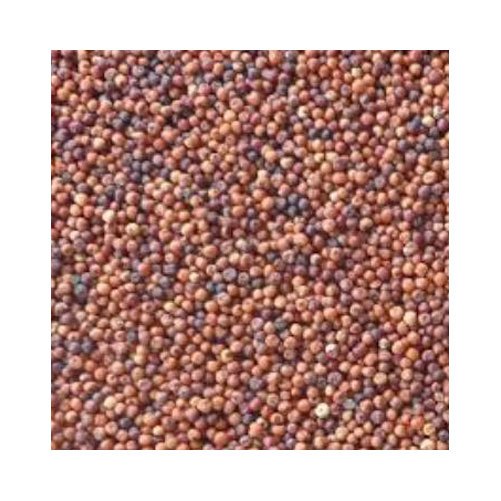 Red Millet Seeds, Pack Size: 50 Kg