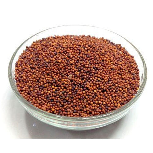 Millet Hub Red Millet Seeds