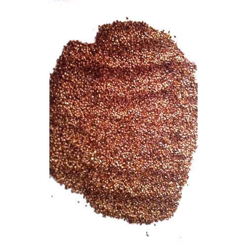 Kasni Chicory Seed