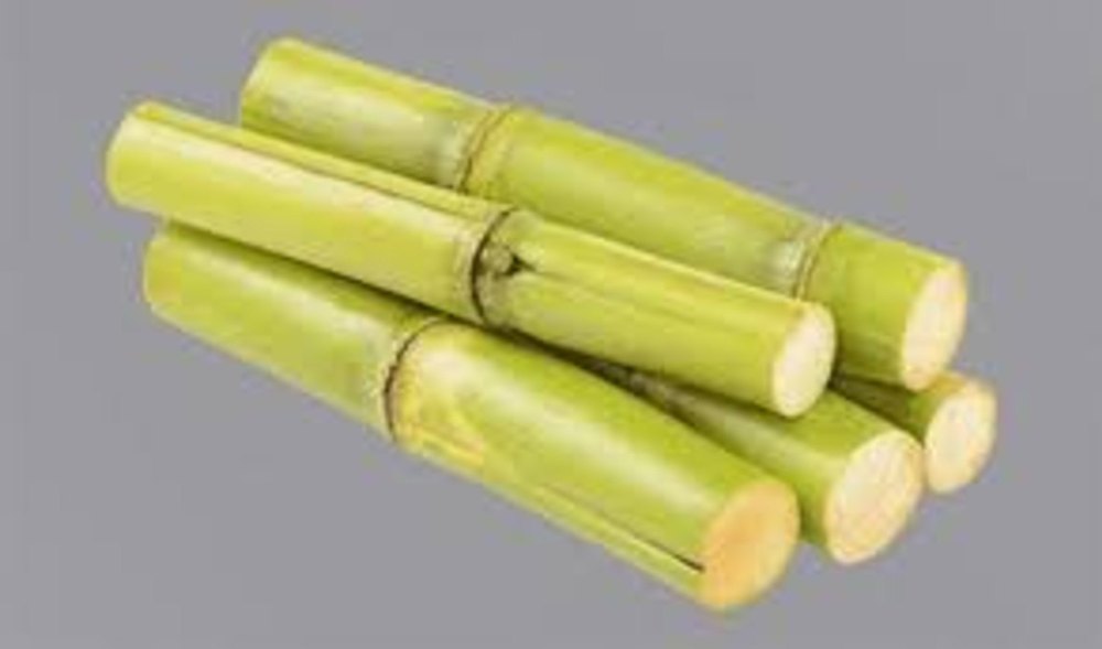 Natural Fresh Sugarcane, Speciality: Organic