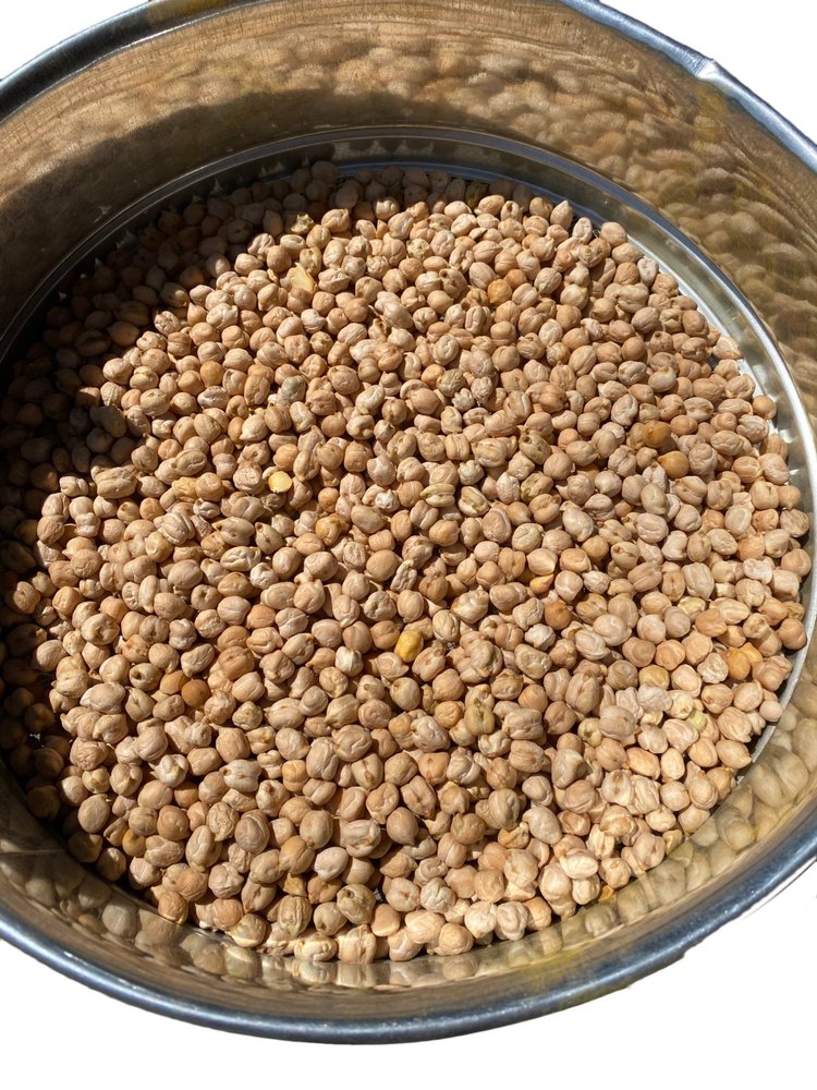 Indian 12 Mm Kabuli Chana, High in Protein