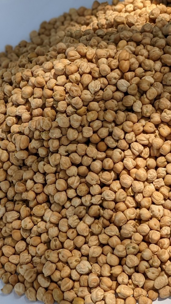 Indian White Kabuli Chana, High in Protein, Packaging Type: Loose