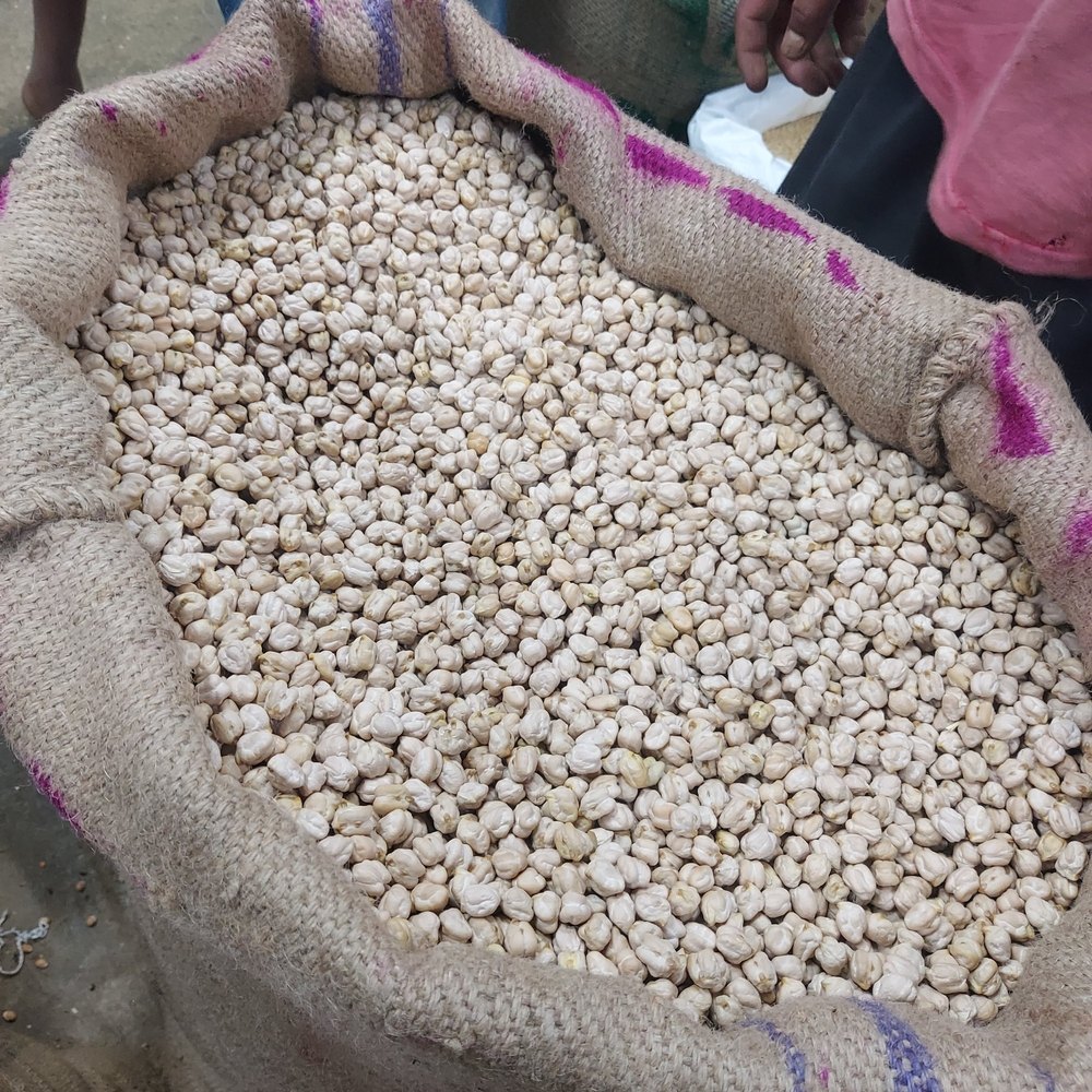 Indian White Kabuli Chana, High in Protein