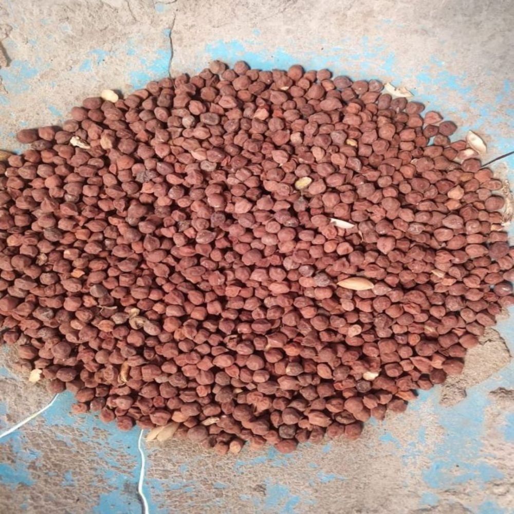 Organic Brown Desi Chana