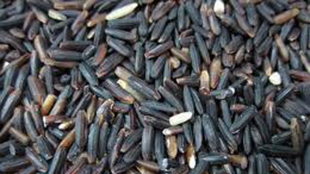 Black Karunkuruvai Rice, Poly Sacks, Packaging Size: 25 Kgs