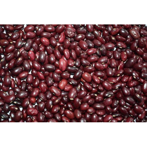 Red Kidney Bean, Moisture Percent: 2 %, High in Protein