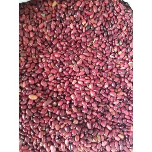 Organic Red Rajma Beans Kashmiri, Packaging Size: Loose