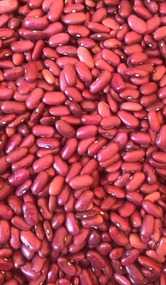 Organic Red Pencil Rajmah, High in Protein, Loose