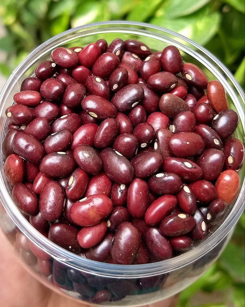Red Rajma, High in Protein, Loose PP Packing