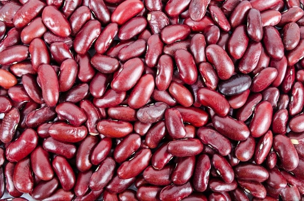 Red Rajma Seed, Organic, Packaging Size: Loose