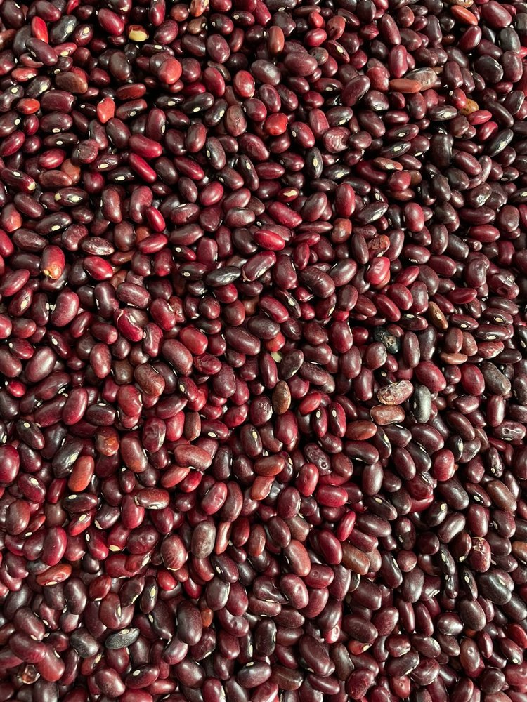 Medium Red Rajma, Gluten Free, PP Bags