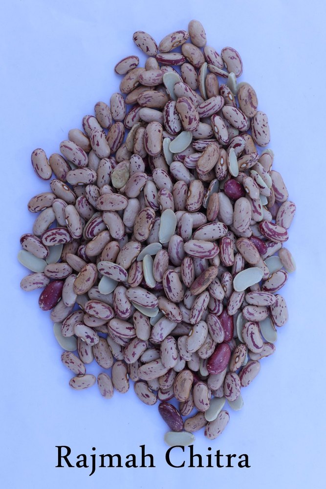 Madras Chitra Rajmah, High in Protein