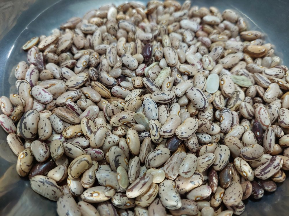 Local Chitra Rajma, High in Protein