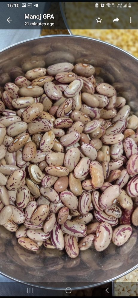 Chitra Rajma, High in Protein, Packaging Size: 30kg