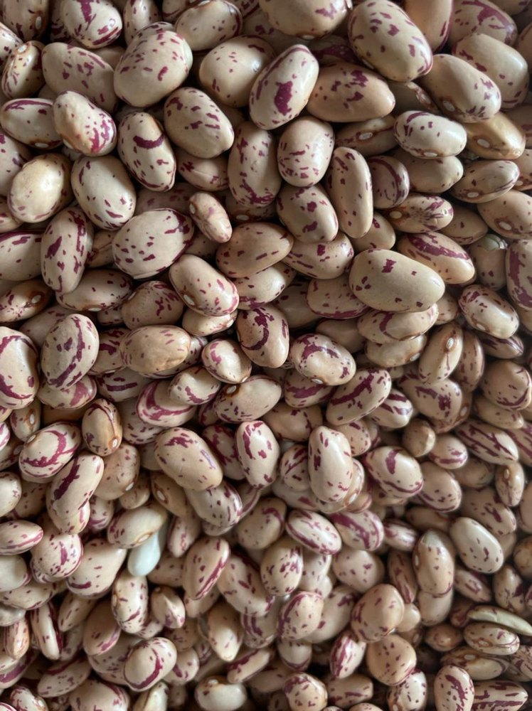 Hitesh Traders Kidney Beans White Rajma Chitra (Best), Gluten Free, Packaging Size: 30kg-50kg