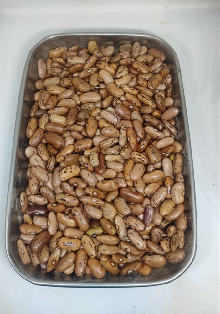 Light Brown Organic Chitra Rajma, High in Protein