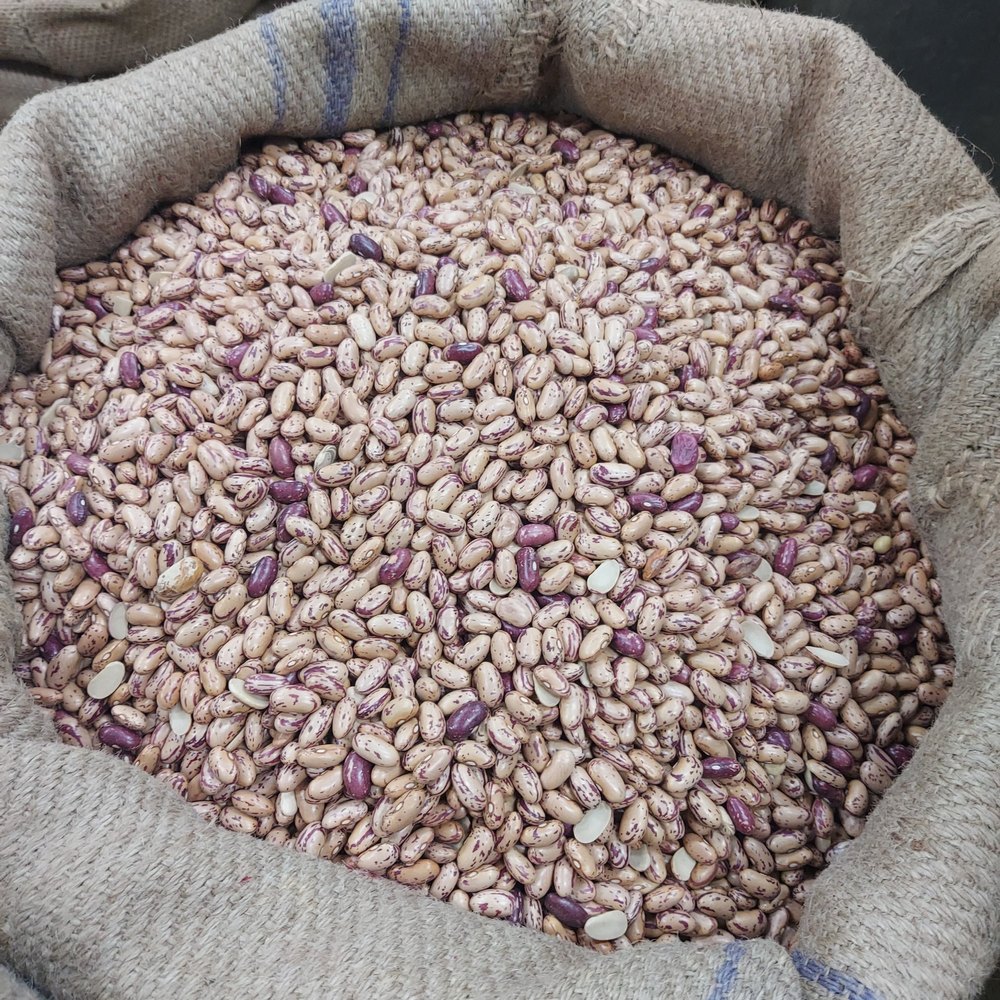 Brown Organic Chitra Rajma