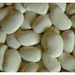White Kidney Bean Extract 5000 UMG, Packaging Size: 25 kg
