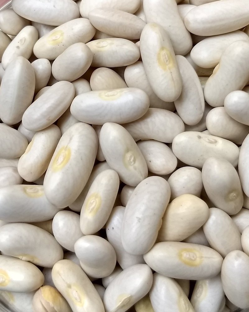 Rajma Natural White Kidney Bean, High in Protein