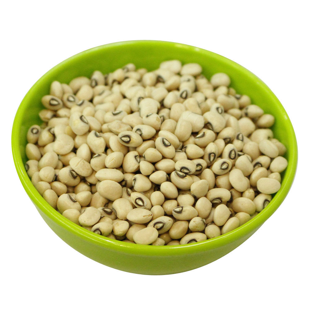 Indian White Kidney Bean, High in Protein