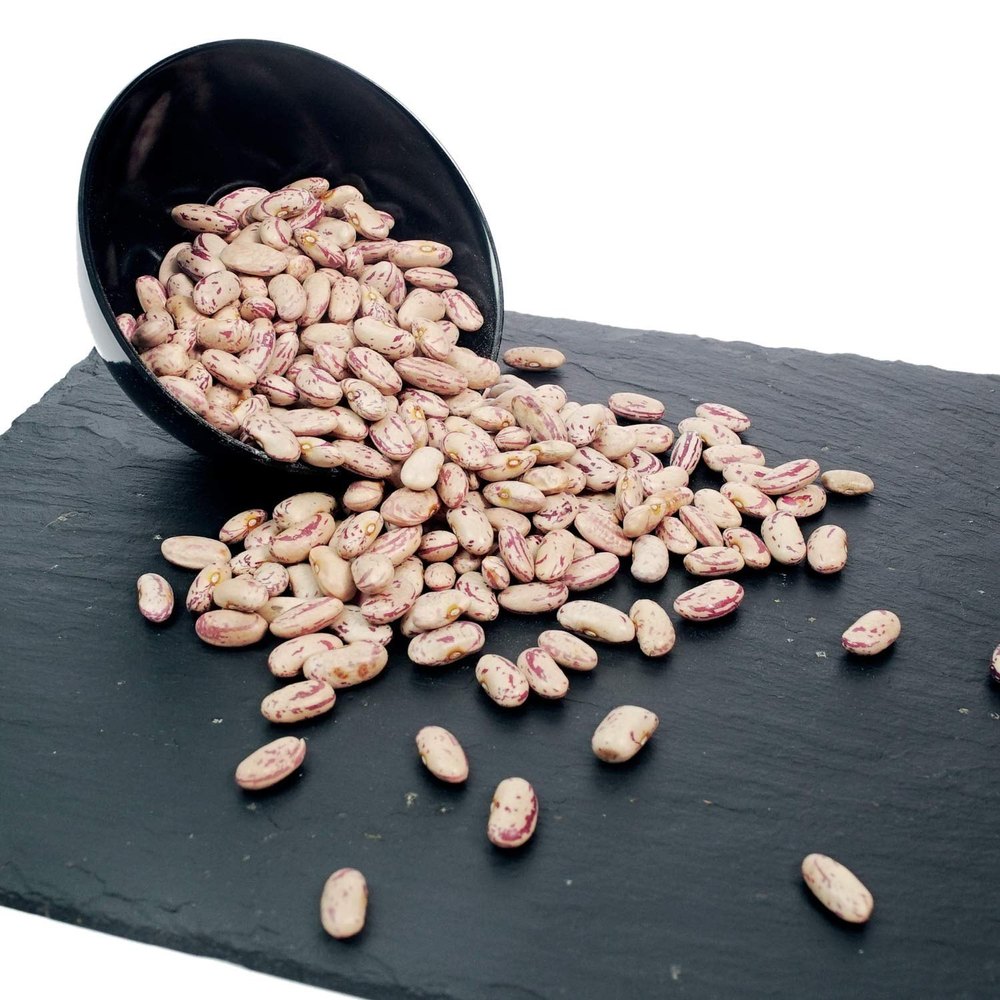 Cannellini White Kidney Bean, High in Protein