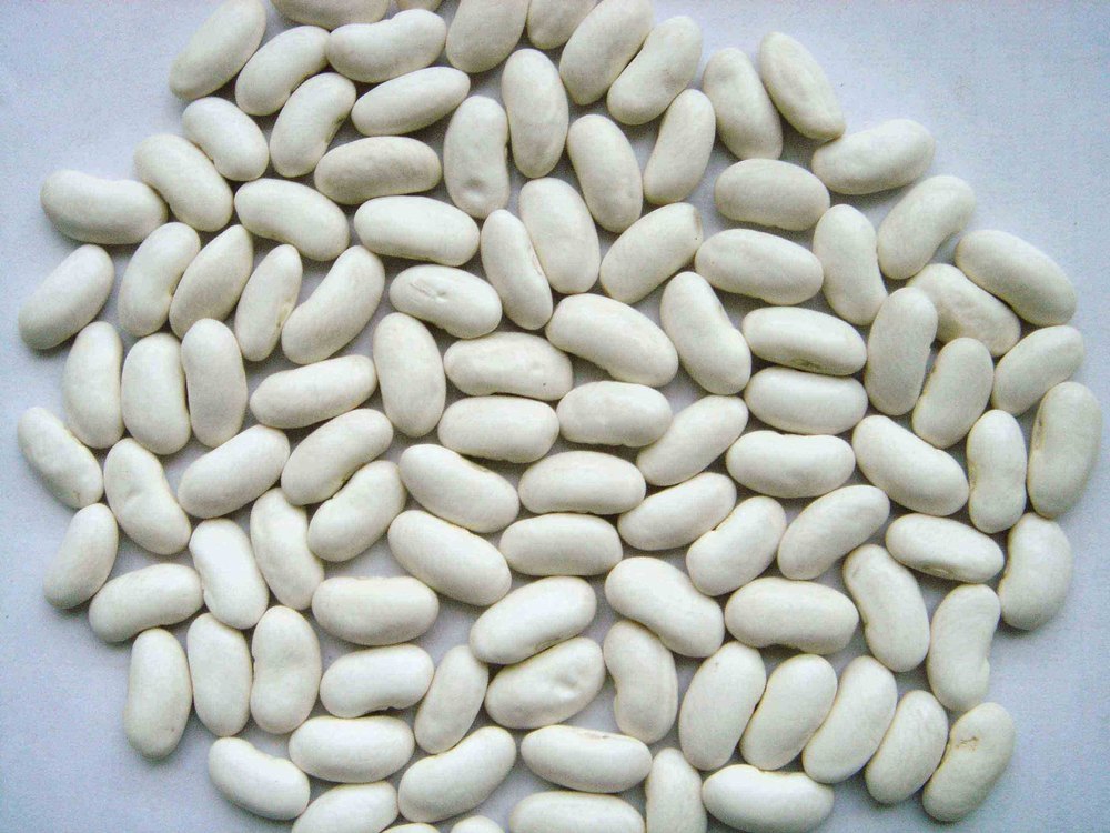 White Kidney Beans, Organic