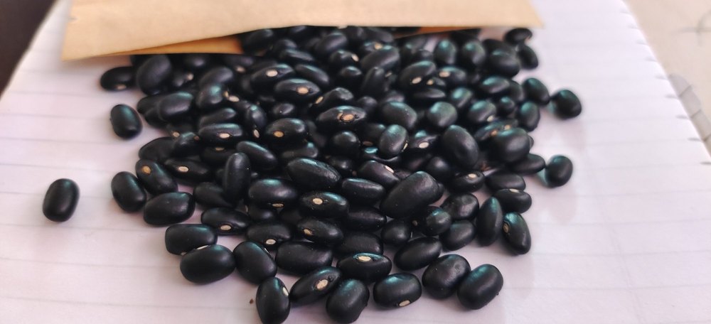 Keemona chakrata Himalayan black kidney beans (Chakrata ), High in Protein, Packaging Size: 1 kg To 50 kg