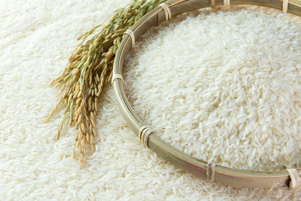Rice