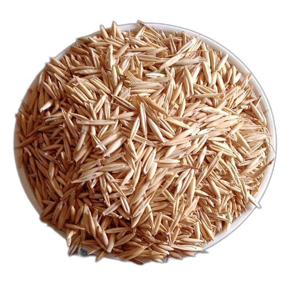 Natural Agriculture Oats Seeds, Packaging Type: Loose