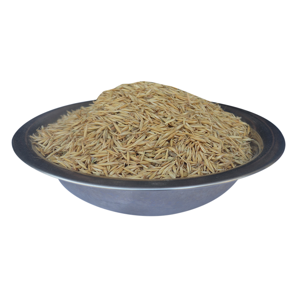 Indian Oat Seeds, Organic