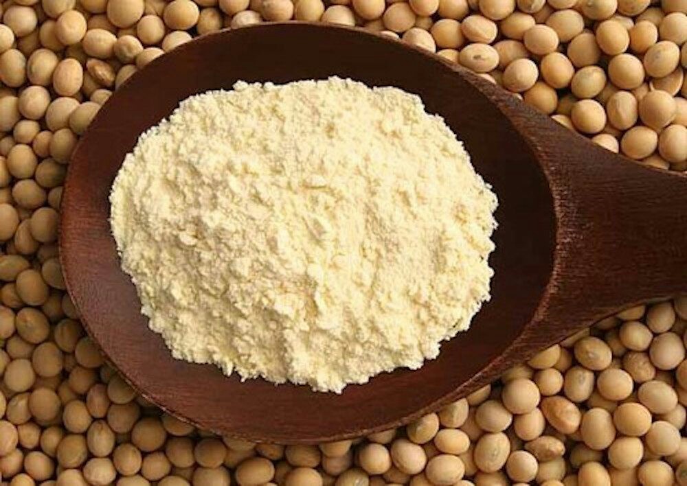 Junior Industries Soya Protein Isolate, 200 Gm