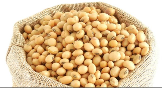 Soya Protein Concentrates