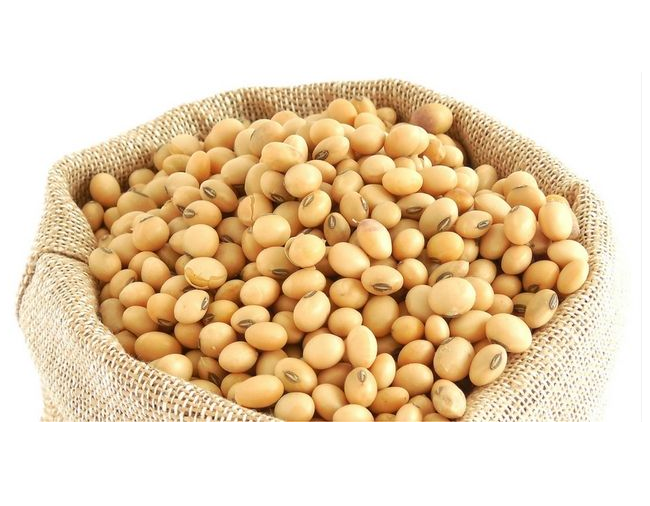 Soya Protein Concentrates