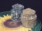 Sunflower Seeds
