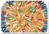 Sunflower Kernels