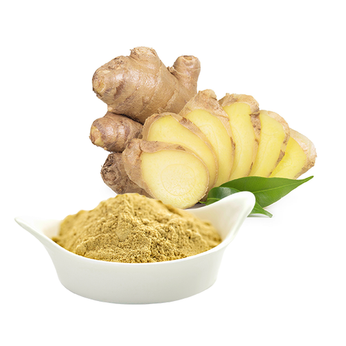 slightly peppery and sweet Ginger Dry Extract / Raw Powder, 500 kg, Packaging Size: 50g